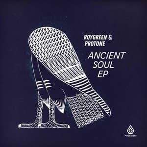 You Did This by RoyGreen & Protone