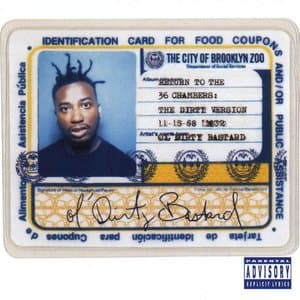 Shimmy Shimmy Ya by Ol' Dirty Bastard